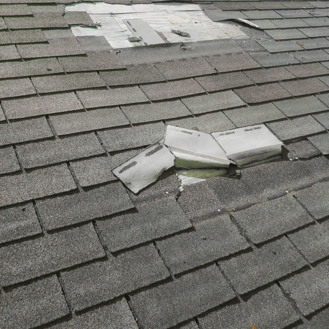 Wind storm damage