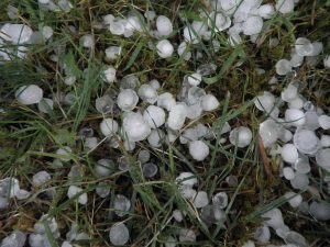 marble size hail
